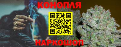 индика Обнинск