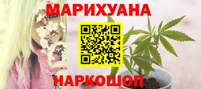 индика Обнинск