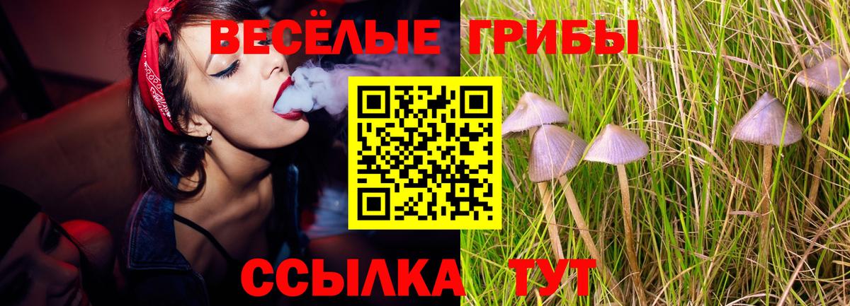 Псилоцибиновые грибы мицелий  Вход с VPN  Санкт-Петербург 