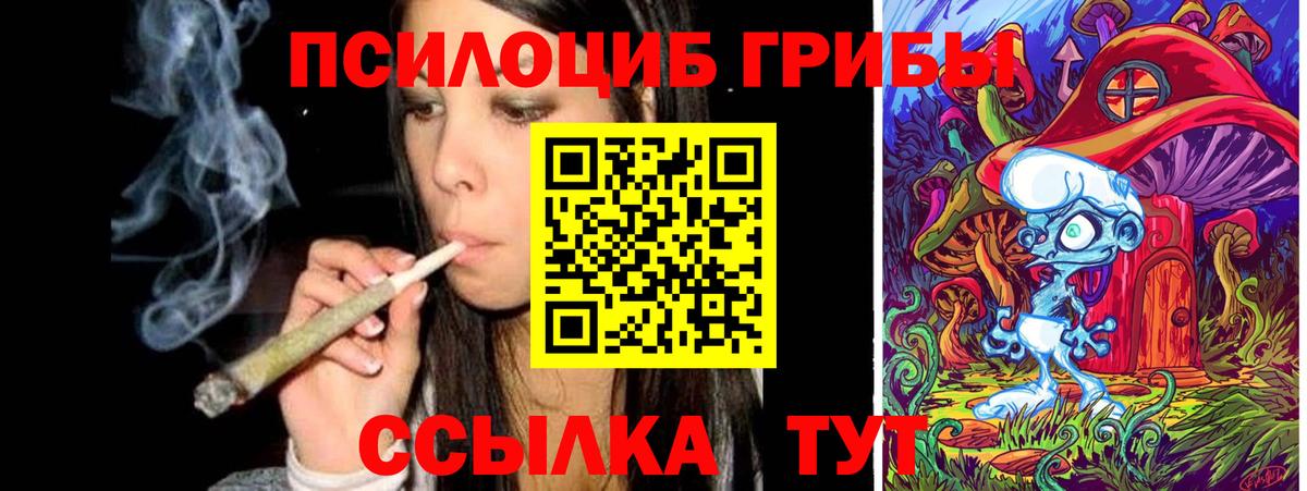 Галлюциногенные грибы Magic Shrooms Санкт-Петербург